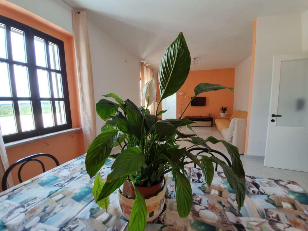 Il Casale Di Zi'Leo Bed & Breakfast Campomarino  Exterior photo